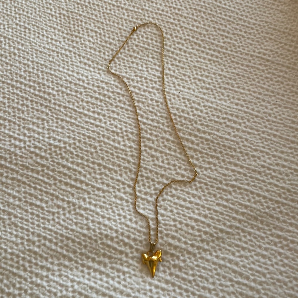 Shark tooth necklace